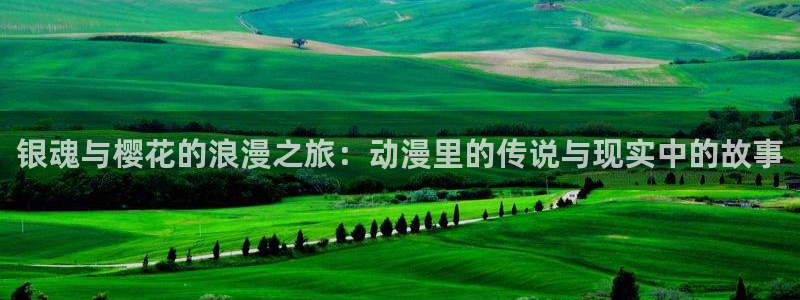 http://omofun：银魂与樱花的浪漫之旅：动漫里的传说与现实中的故事