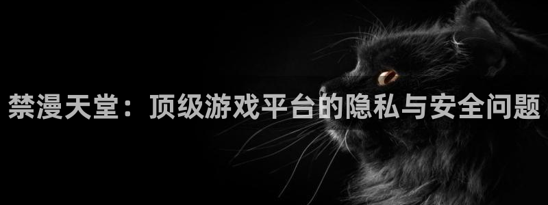 omofun动漫免费看：禁漫天堂：顶级游戏平台的隐私与安全问题