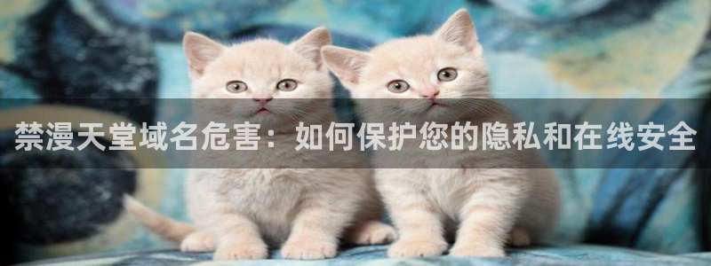 omofun动漫在线：禁漫天堂域名危害：如何保护您的隐私和在线安全