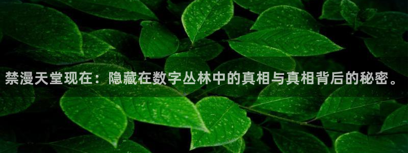 omofun网页：禁漫天堂现在：隐藏在数字丛林中的真相与真相背后的秘密。