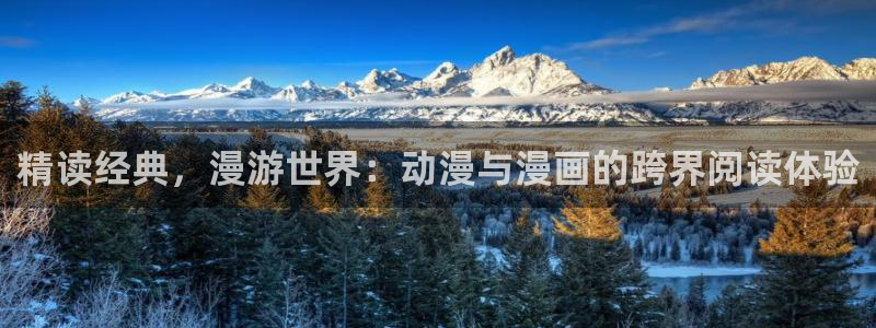 omofun动漫视频网提供最新最快的动漫新番：精读经典，漫游世界：动漫与漫画的跨界阅读体验