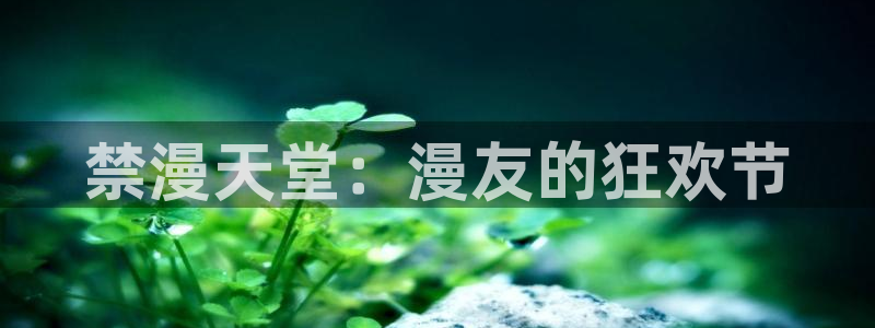 omofun网页版地址：禁漫天堂：漫友的狂欢节
