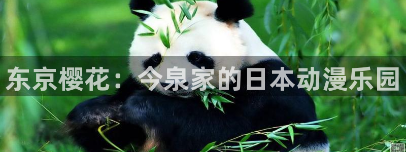 omofun动漫视频网提供最新最快的动漫新番：东京樱花：今泉家的日本动漫乐园