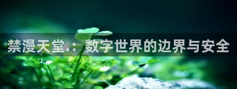 omofun网页版下载：禁漫天堂.：数字世界的边界与安全