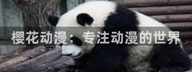 虫虫漫画入口ios版：樱花动漫：专注动漫的世界