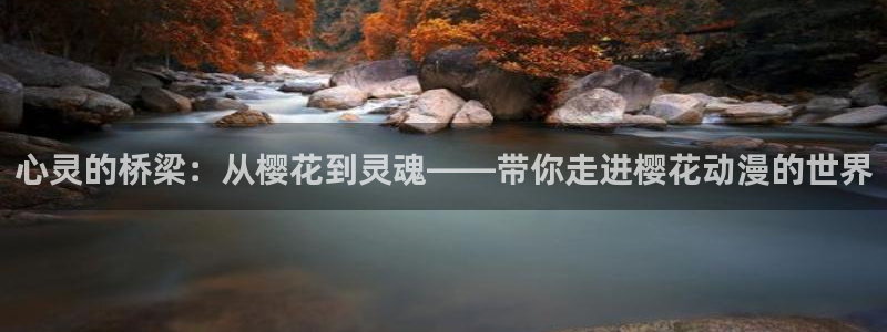 omofun网站入口：心灵的桥梁：从樱花到灵魂——带你走进樱花动漫的世界