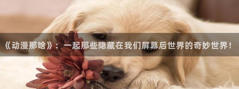 omofun免费下载：《动漫那啥》：一起那些隐藏在我们屏幕后世界的奇妙世界！