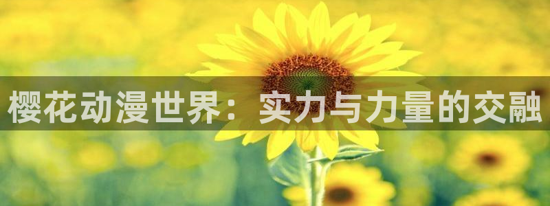 omofun中文官网：樱花动漫世界：实力与力量的交融