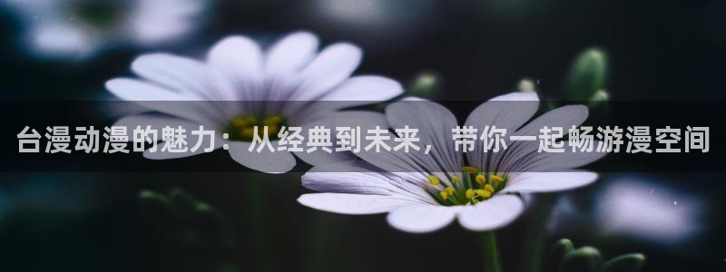 omofun 动漫在线观看免费全集：台漫动漫的魅力：从经典到未来，带你一起畅游漫空间